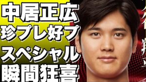 中居正広のスポーツ珍プレー好プレー、スペシャルバージョン